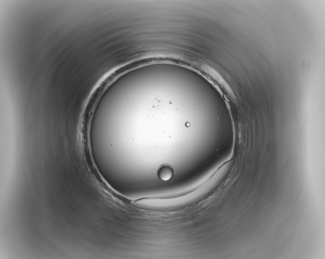 X0000116161068200911301556