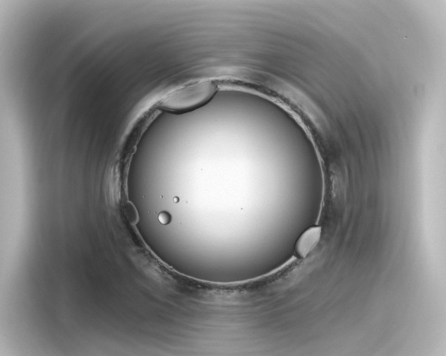 X0000116161069200911301556