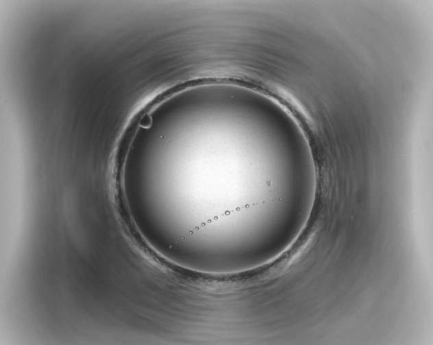 X0000116161071200911301556