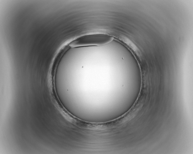 X0000116161072200911301556