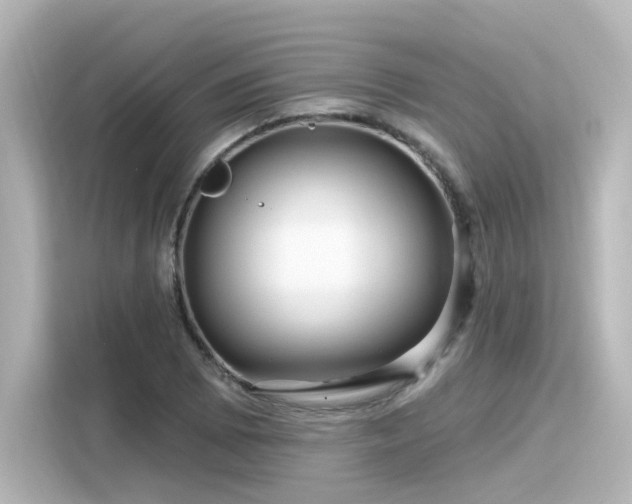 X0000116161073200911301556