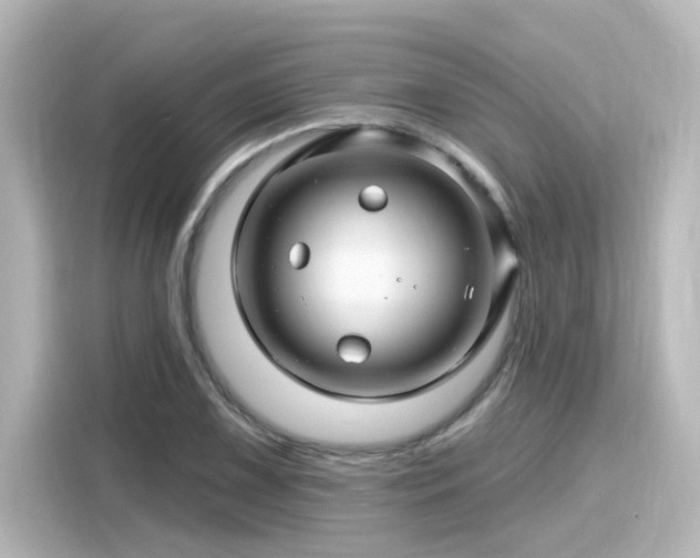 X0000116161075200911301556