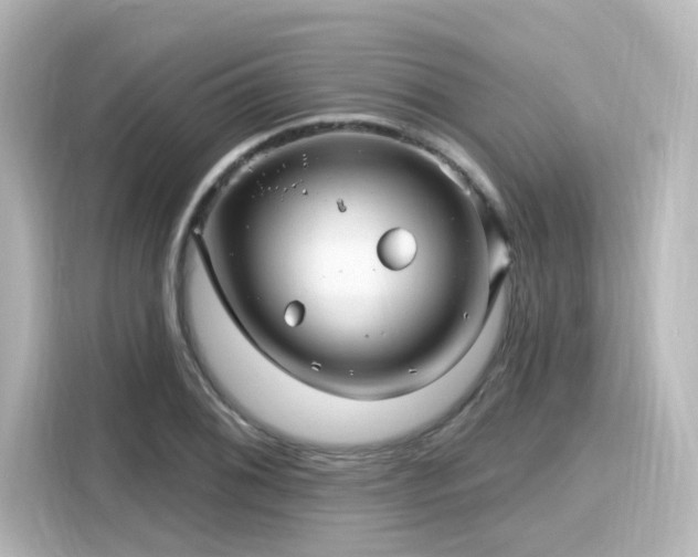 X0000116161076200911301556