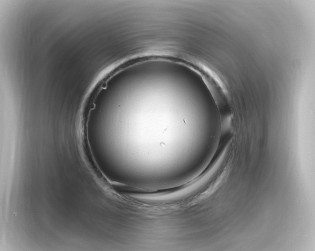 X0000116161077200911301556