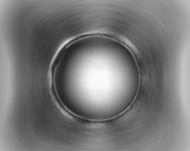 X0000116161079200911301556