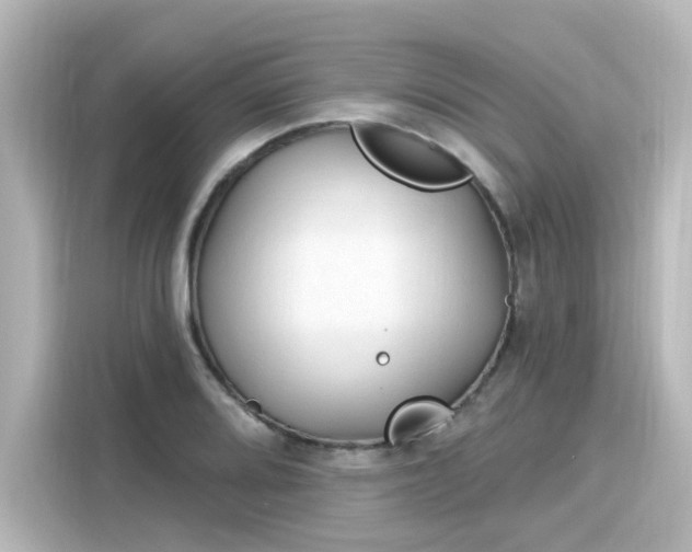 X0000116161080200911301556