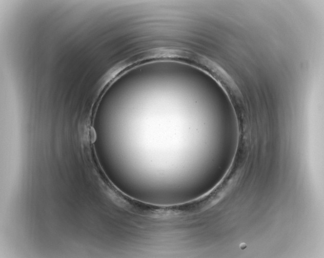 X0000116161081200911301556