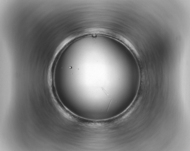 X0000116161082200911301556