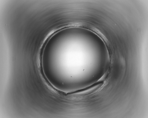 X0000116161083200911301556