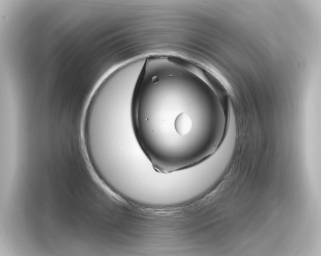 X0000116161084200911301556