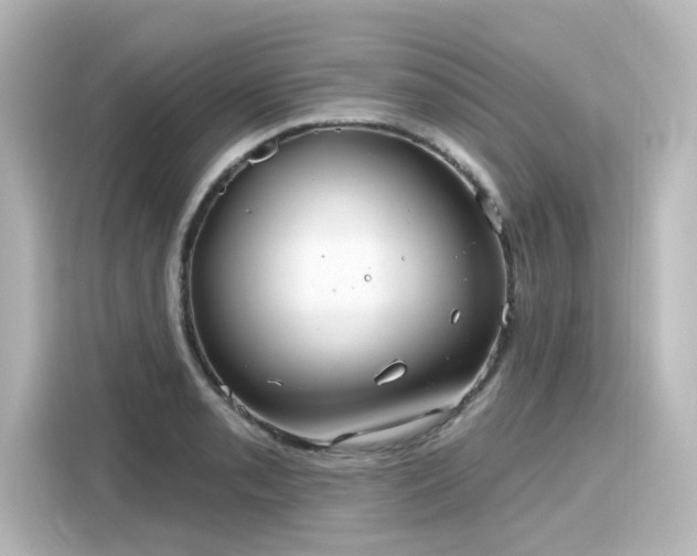 X0000116161085200911301556