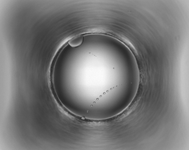 X0000116161087200911301556