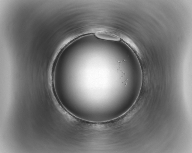 X0000116161088200911301556