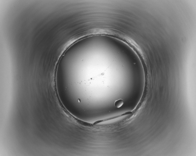 X0000116161089200911301556