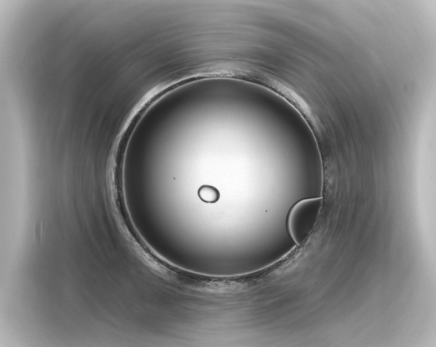 X0000116161091200911301556