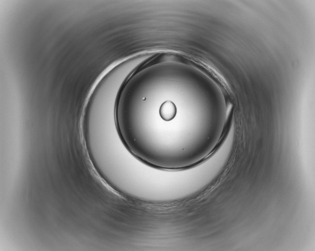 X0000116161092200911301556