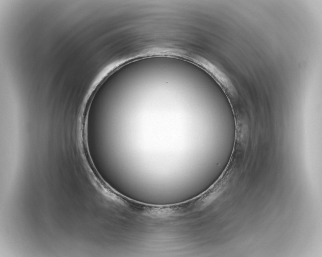 X0000116161094200911301556