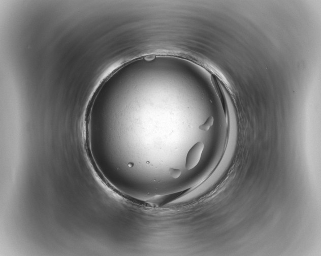 X0000116161095200911301556