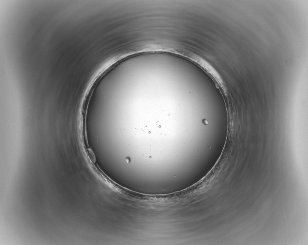 X0000116161096200911301556