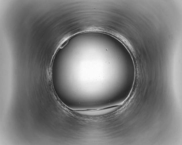 X0000116161097200911301556