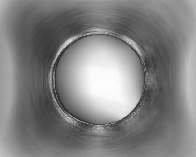 X0000116161098200911301556