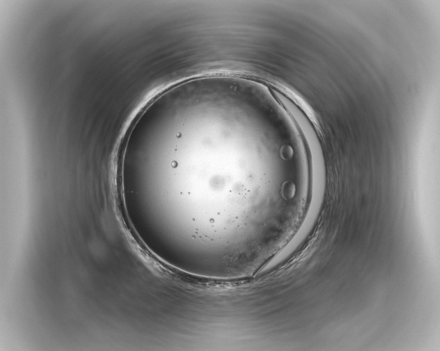 X0000116161099200911301556