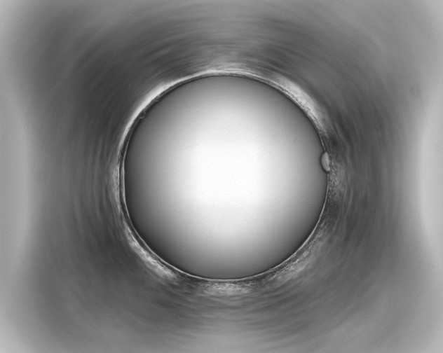 X0000116161100200911301556