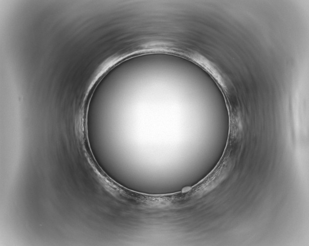 X0000116161101200911301556