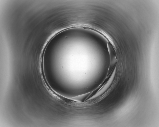 X0000116161102200911301556