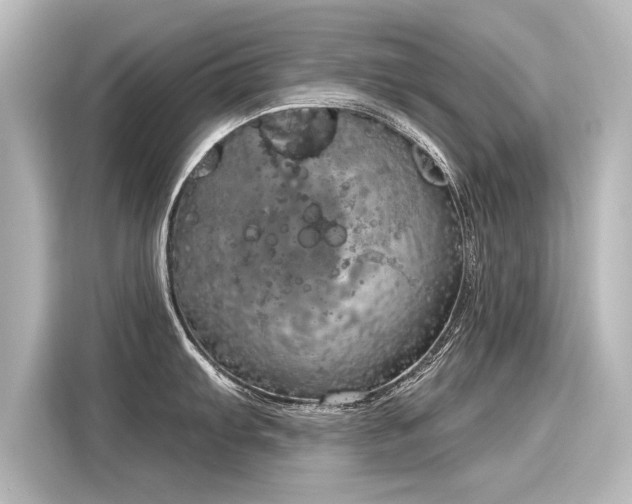 X0000116161103200911301556