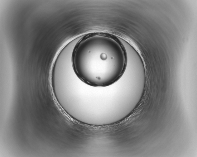 X0000116161104200911301556