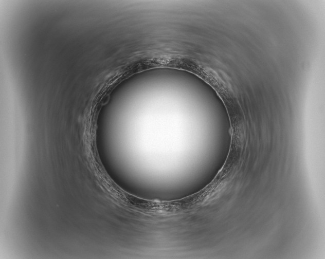 X0000116161105200911301555