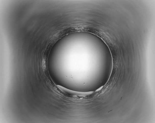 X0000116161106200911301555