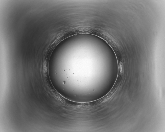 X0000116161107200911301555