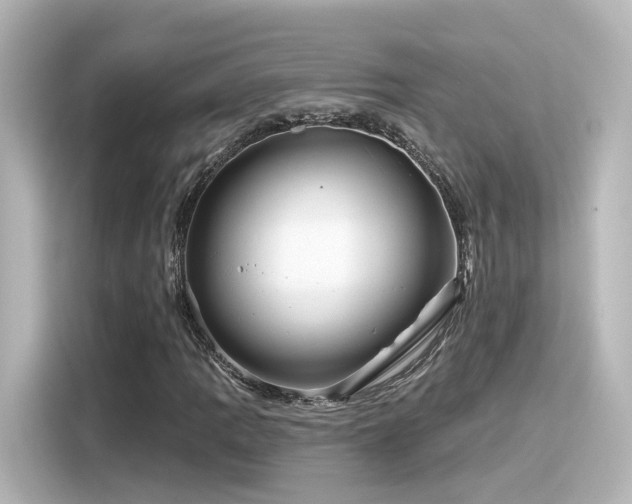 X0000116161109200911301555