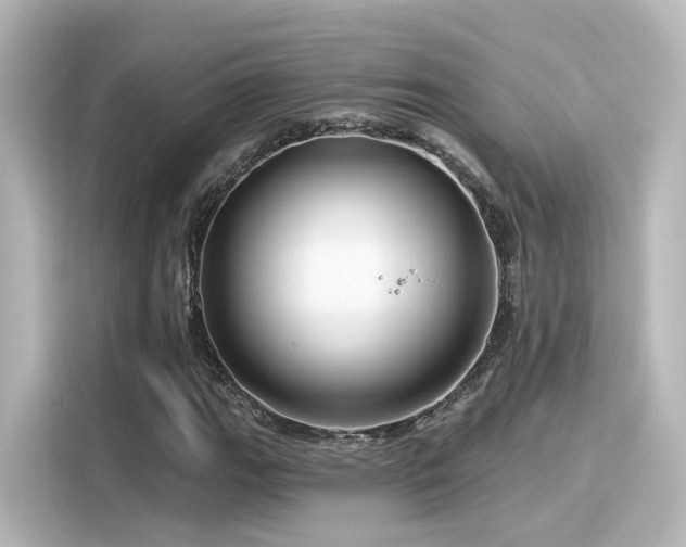 X0000116161111200911301555