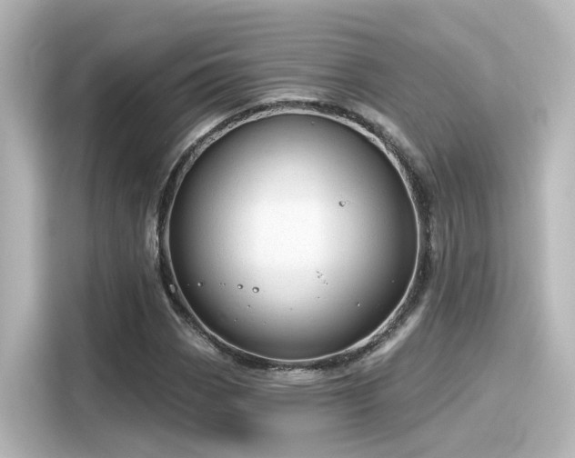 X0000116161113200911301555