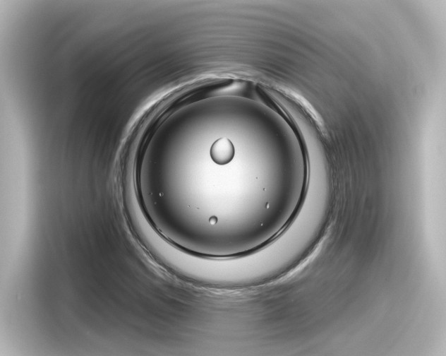 X0000116161114200911301555