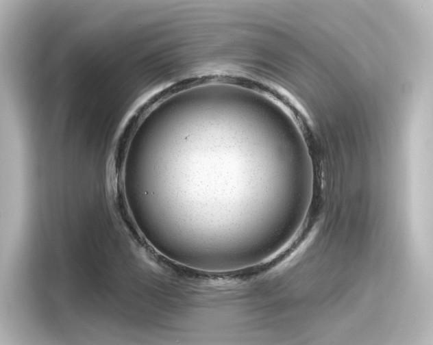 X0000116161117200911301555