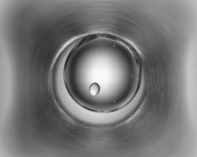 X0000116161118200911301555