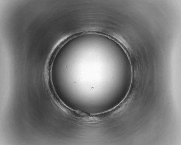 X0000116161119200911301555