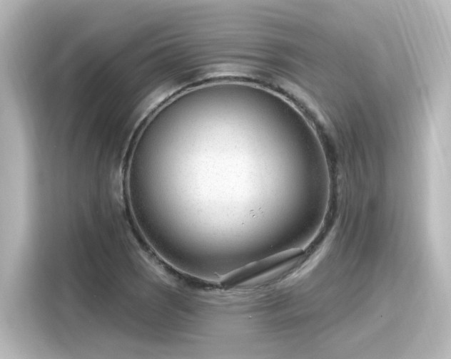 X0000116161121200911301555