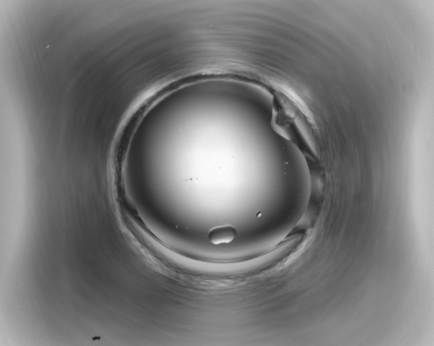 X0000116161122200911301555