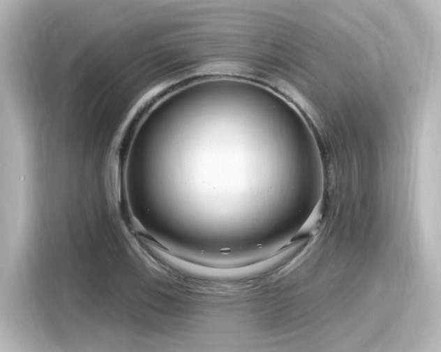 X0000116161123200911301555