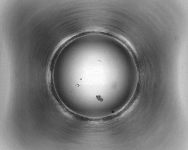 X0000116161125200911301556