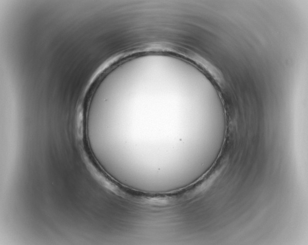 X0000116161126200911301556