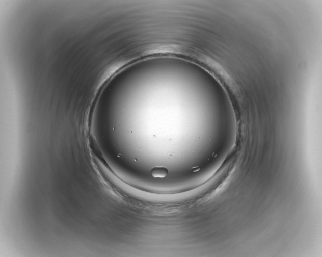 X0000116161129200911301556