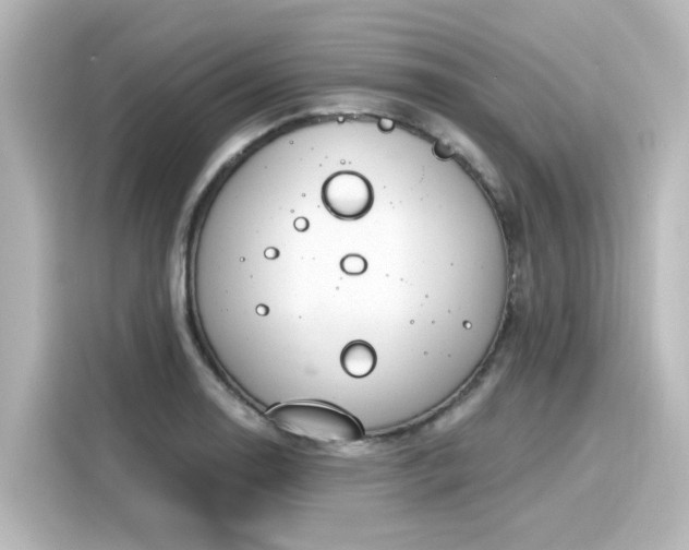 X0000116161130200911301556