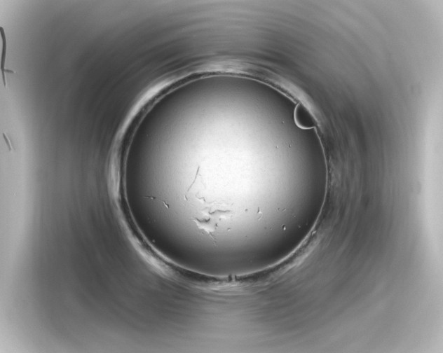 X0000116161131200911301556