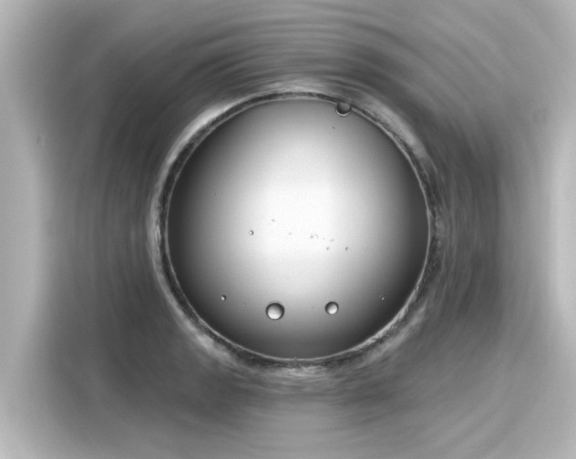 X0000116161133200911301556